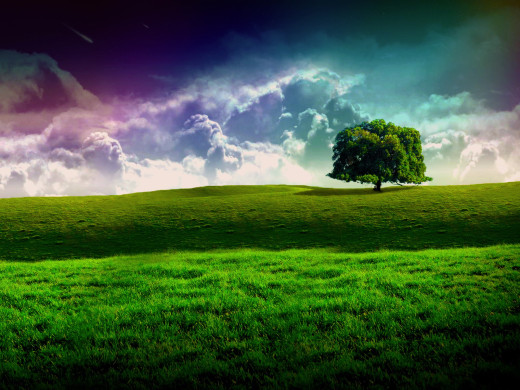 44381 (a): :1600x1200